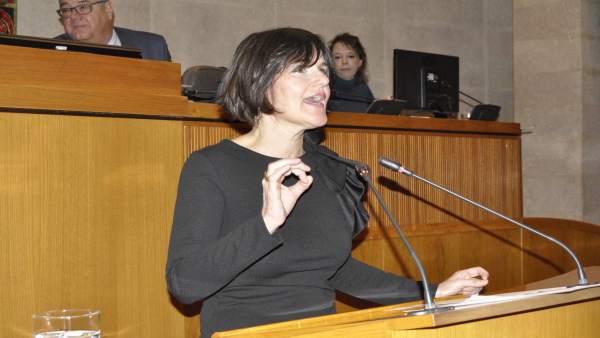 La diputada del PAR, Elena Allué La diputada del PAR, Elena Allué