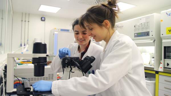 Hipertermia Contra El Cáncer Hipertermia Contra El Cáncer