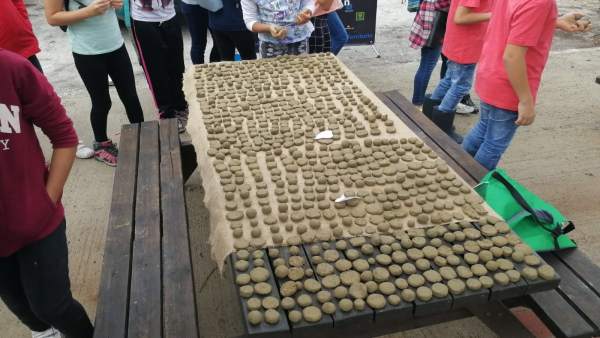 Bombas de semillas Bombas de semillas