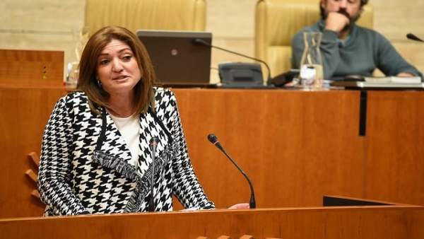 La diputada del PP Pilar Pérez La diputada del PP Pilar Pérez