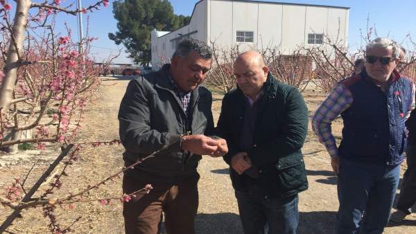 El Equipo de Gobierno del Ayuntamiento de Cieza El Equipo de Gobierno del Ayuntamiento de Cieza