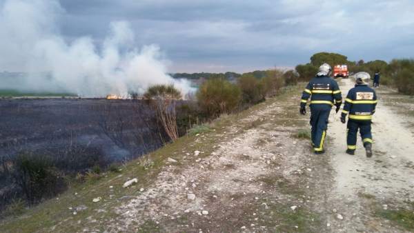 Incendio en la carretera Guadalcacín-Nueva Jarilla, en Jerez (Cádiz) Incendio en la carretera Guadalcacín-Nueva Jarilla, en Jerez (Cádiz)