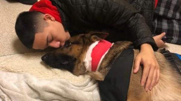 Rex, el perro que salvó la vida de su dueño Rex, el perro que salvó la vida de su dueño