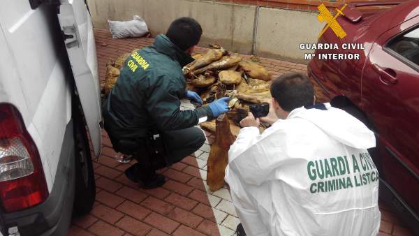 Jamones intervenidos por la Benemérita. Jamones intervenidos por la Benemérita.