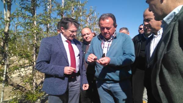 Visita del consejero Jódar zona afectadas heladas Cieza Visita del consejero Jódar zona afectadas heladas Cieza