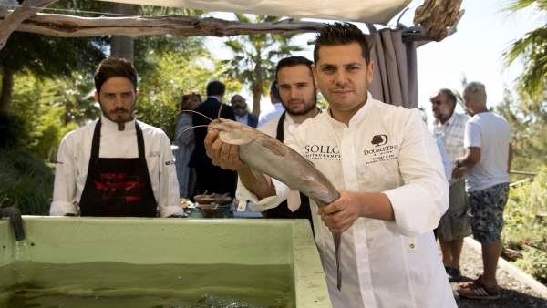 Diego GAllegos Sollo restaurante usa acuaponía sotenibilidad y huerta ecológica Diego GAllegos Sollo restaurante usa acuaponía sotenibilidad y huerta ecológica