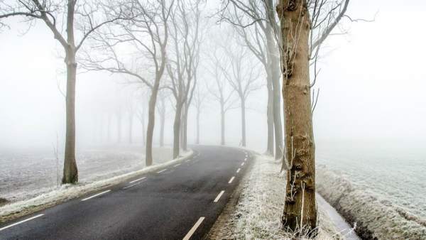 Nieve Nieve