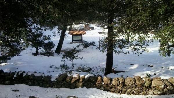 Nevada en Mallorca Nevada en Mallorca