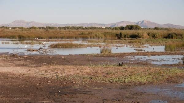 S'Albufera S'Albufera
