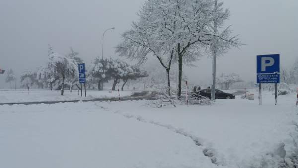 Nieve Nieve