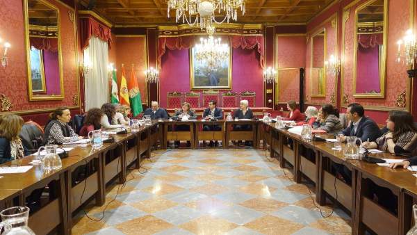 Ayuntamiento de Granada Ayuntamiento de Granada