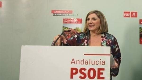 Irene García, secretaria provincial del PSOE de Cádiz en una imagen de archivo Irene García, secretaria provincial del PSOE de Cádiz en una imagen de archivo