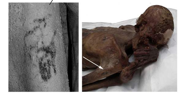 Fotografía facilitada por el British Museum, de uno de los primeros tatuajes figurativos encontrados en un cuerpo momificado de Gebelein. Fotografía facilitada por el British Museum, de uno de los primeros tatuajes figurativos encontrados en un cuerpo momificado de Gebelein.