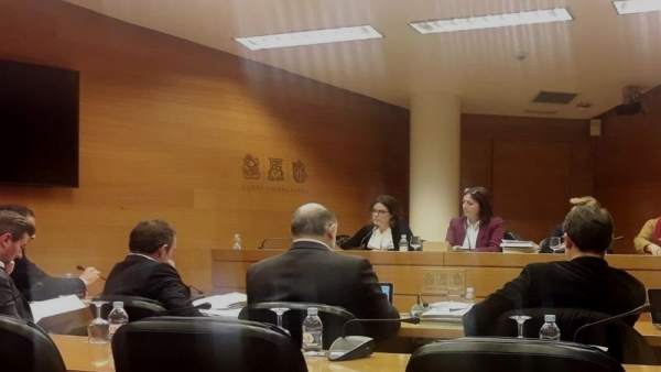 Extesorera del PPCV Yolanda garcía en la Comisión de las institutciones feriales Extesorera del PPCV Yolanda garcía en la Comisión de las institutciones feriales