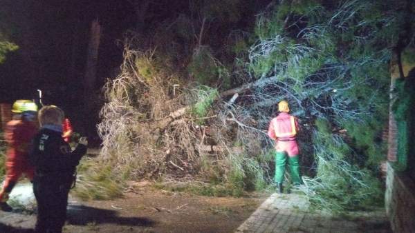 Les ratxes de vent de ponent arriben a ratxes de 95 quilòmetres per hora a la Comunitat Valenciana Les ratxes de vent de ponent arriben a ratxes de 95 quilòmetres per hora a la Comunitat Valenciana