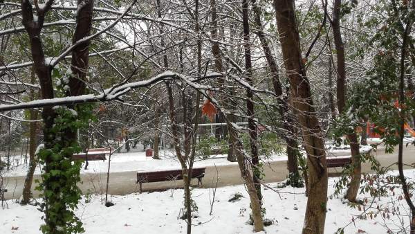 El Campo Grande de Valladolid, nevado El Campo Grande de Valladolid, nevado
