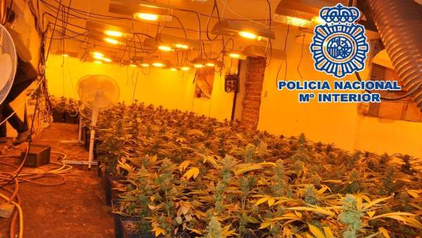 Policía Nacional Nota De Prensa Y Enlace A Vídeo (La Policía Nacional Desmantela Policía Nacional Nota De Prensa Y Enlace A Vídeo (La Policía Nacional Desmantela