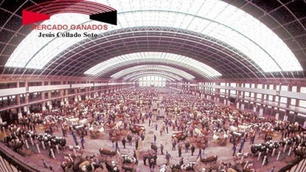 Mercado Nacional de Ganados Mercado Nacional de Ganados