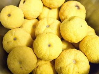 Yuzu