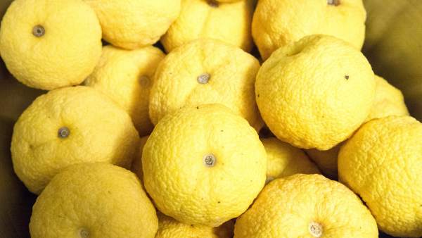 Yuzu Yuzu