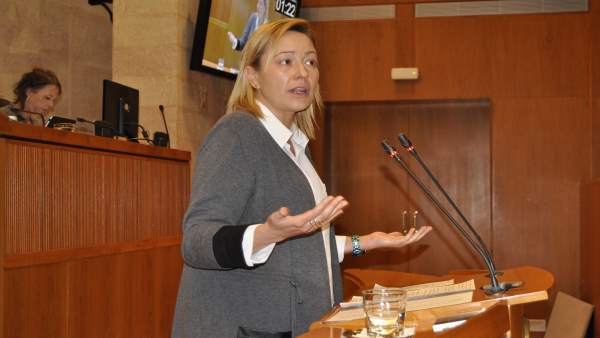 La consejera de Economía, Marta Gastón La consejera de Economía, Marta Gastón