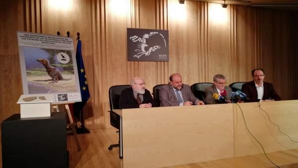 Presentación del hallazgo Presentación del hallazgo