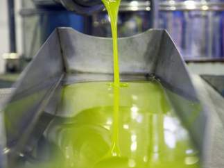 Almazara prodiciendo aceite de oliva