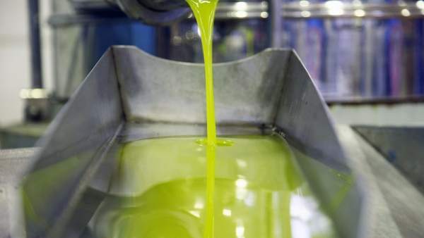 Almazara prodiciendo aceite de oliva Almazara prodiciendo aceite de oliva