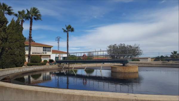 Imagen de una de la planta donde se desarrollará el proyecto Imagen de una de la planta donde se desarrollará el proyecto