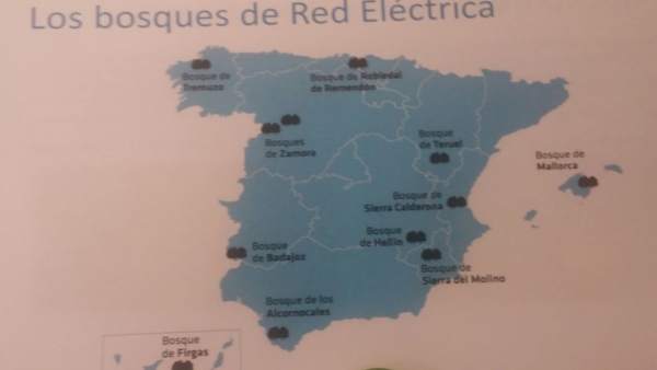 Mapa de bosques de REE Mapa de bosques de REE