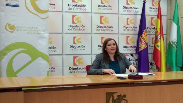 Carrillo presenta la convocatoria de eficiencia energética Carrillo presenta la convocatoria de eficiencia energética