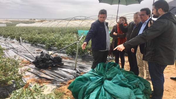Manuel Andrés González visita una explotación agrícola. Manuel Andrés González visita una explotación agrícola.