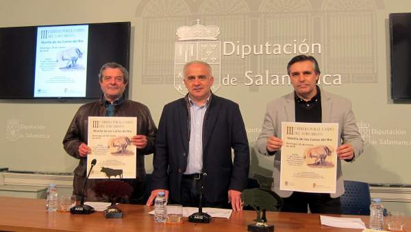 Presentación de la carrera de Matilla. Presentación de la carrera de Matilla.