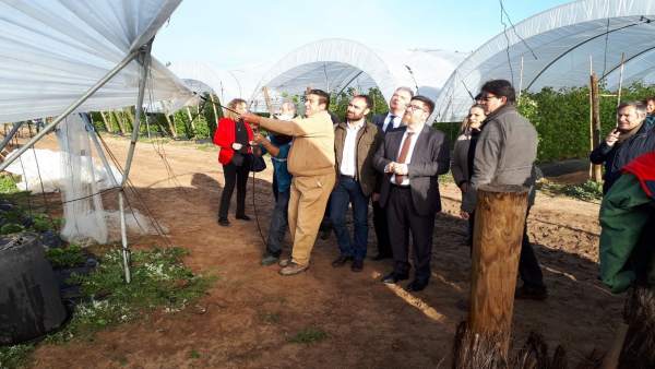Nota De Prensa Agricultura (Temporal En Huelva) Nota De Prensa Agricultura (Temporal En Huelva)