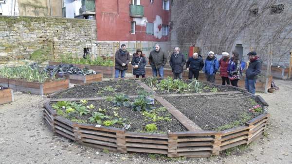 Visita el huerto urbano del Rincón de las Pellejerías Visita el huerto urbano del Rincón de las Pellejerías