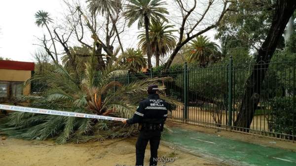 Policía acordona la zona tras una incidencia a causa del temporal Policía acordona la zona tras una incidencia a causa del temporal