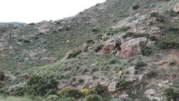 Bomberos forestales rastrean el perímetro marcado en la búsqueda de Gabriel Bomberos forestales rastrean el perímetro marcado en la búsqueda de Gabriel