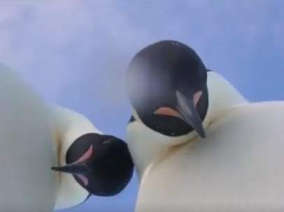 Pingüinos emperador