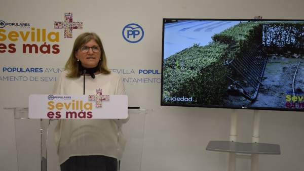 Amidea Navarro analiza el estado de la Plaza Nueva Amidea Navarro analiza el estado de la Plaza Nueva
