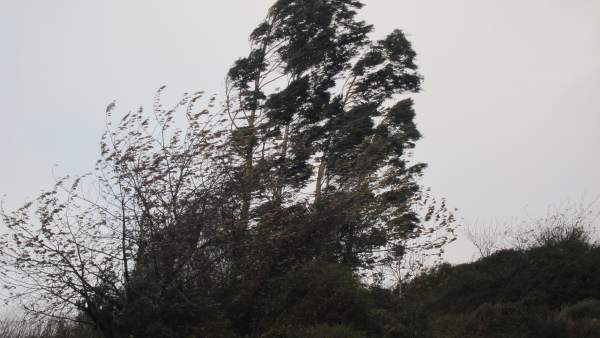 Rachas de viento Rachas de viento