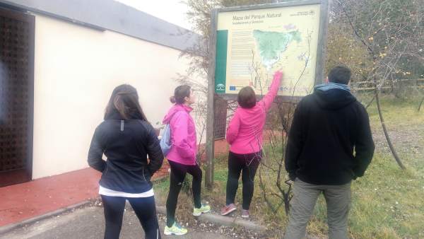 Varios visitantes consultan un mapa del Parque Natural Sierra de Andújar. Varios visitantes consultan un mapa del Parque Natural Sierra de Andújar.