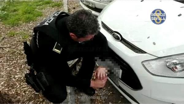 Localizado en Sevilla un vehículo robado en Francia en 2016 Localizado en Sevilla un vehículo robado en Francia en 2016