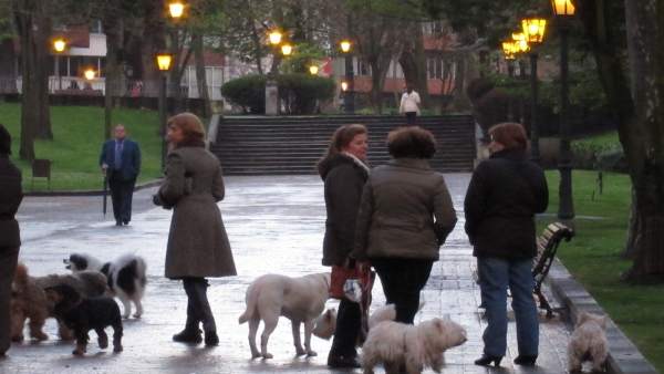 Perros Perros