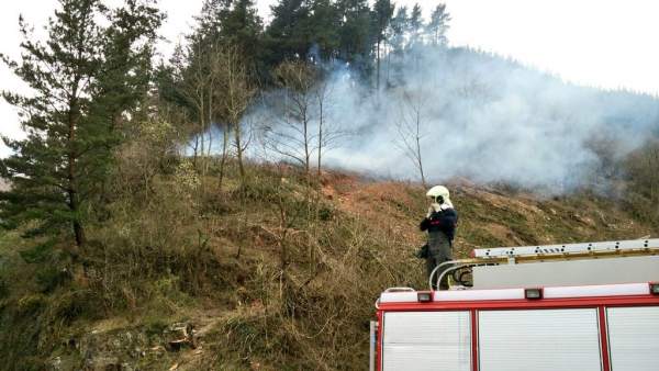 Incendios forestales Incendios forestales