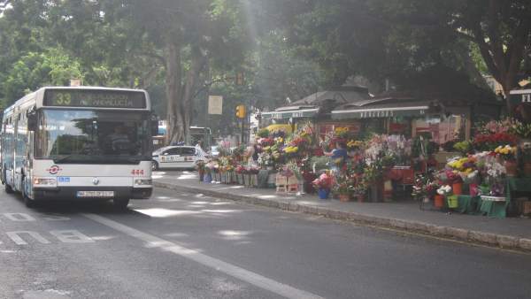Bus, flores, alameda princial, autobús, emt Bus, flores, alameda princial, autobús, emt