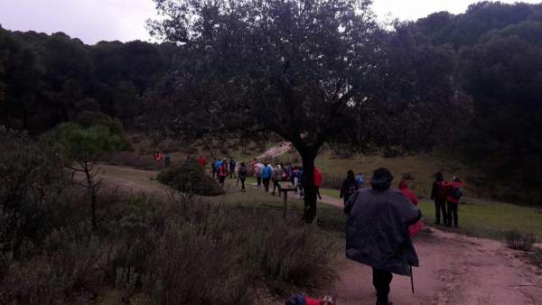 Marcha por apertura de vías pecuarias en la Sierra de Andújar Marcha por apertura de vías pecuarias en la Sierra de Andújar