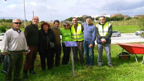 Plantación de cuatro almendros en la UMA en homenaje a las víctimas de Fukushima Plantación de cuatro almendros en la UMA en homenaje a las víctimas de Fukushima