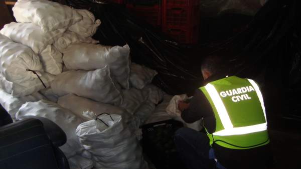 Sacos con los aguacates recuperados por la Guardia Civil. Sacos con los aguacates recuperados por la Guardia Civil.