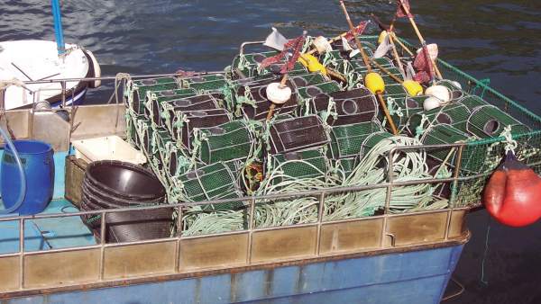 Utiles de pesca. Utiles de pesca.