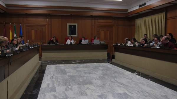 Salón de Plenos del Ayuntamiento Salón de Plenos del Ayuntamiento